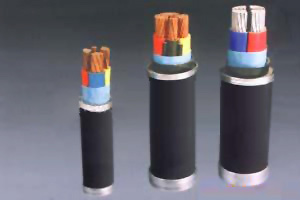 娄底额定电压0.6 1kV聚氯乙烯绝缘聚氯乙烯护套电力电缆